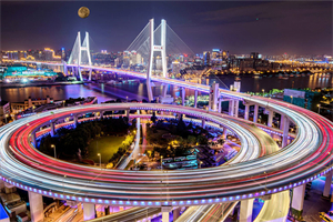 上海男女对情感忠诚的看法